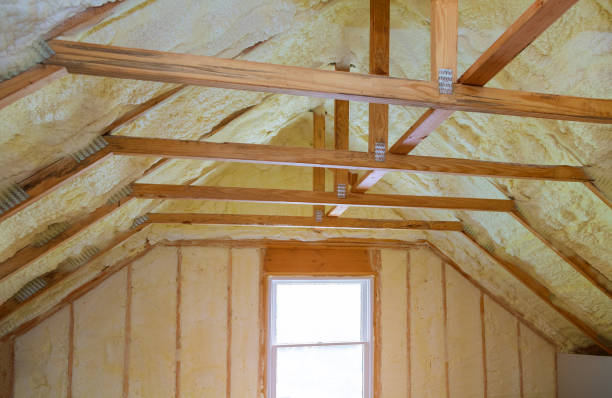 Best Geographic-Specific Insulation Services in New Lisbon, WI